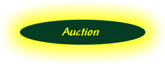 Thirsty's Auction button